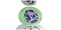 Chapter 8 - Hematopoiesis